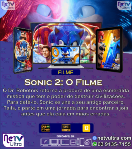 06-Sonic 2